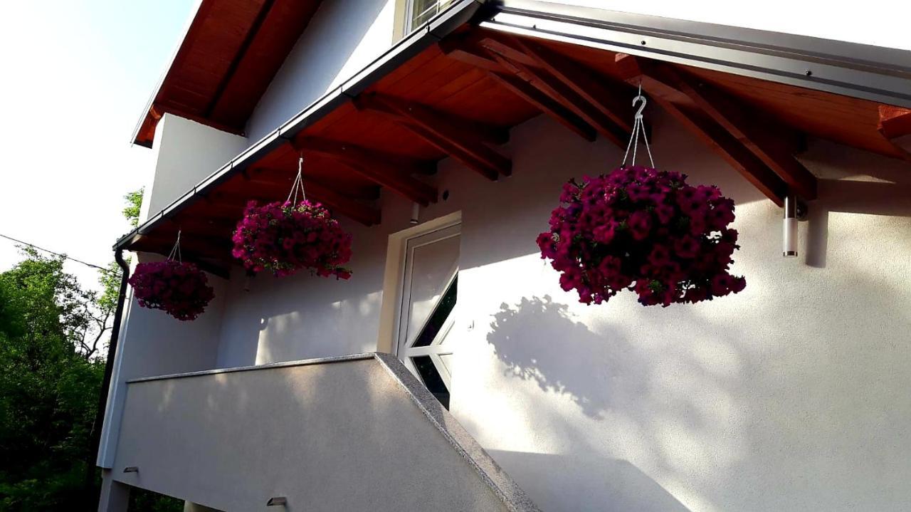 Apartmani Bilic コレニツァ エクステリア 写真